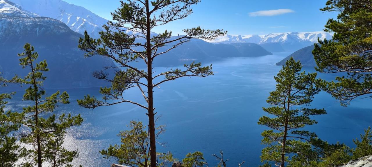 Timblalodgen Sogndal Zewnętrze zdjęcie