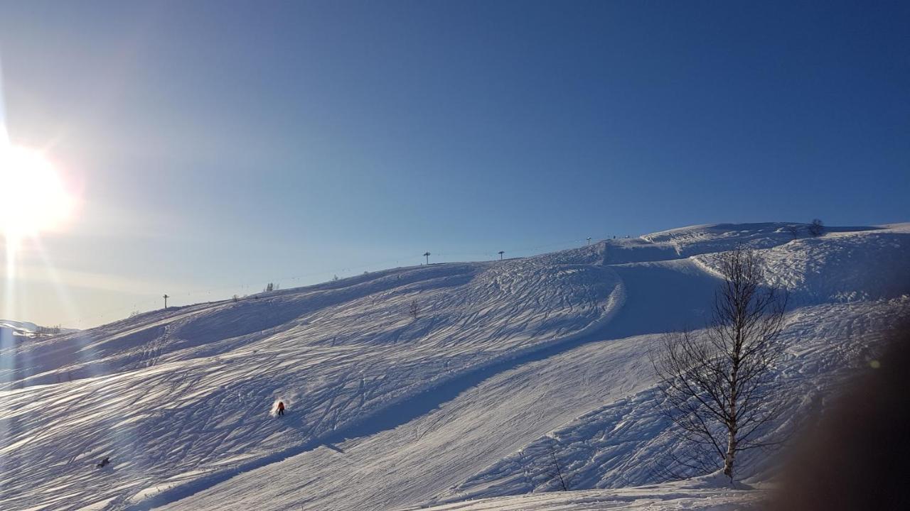 Timblalodgen Sogndal Zewnętrze zdjęcie